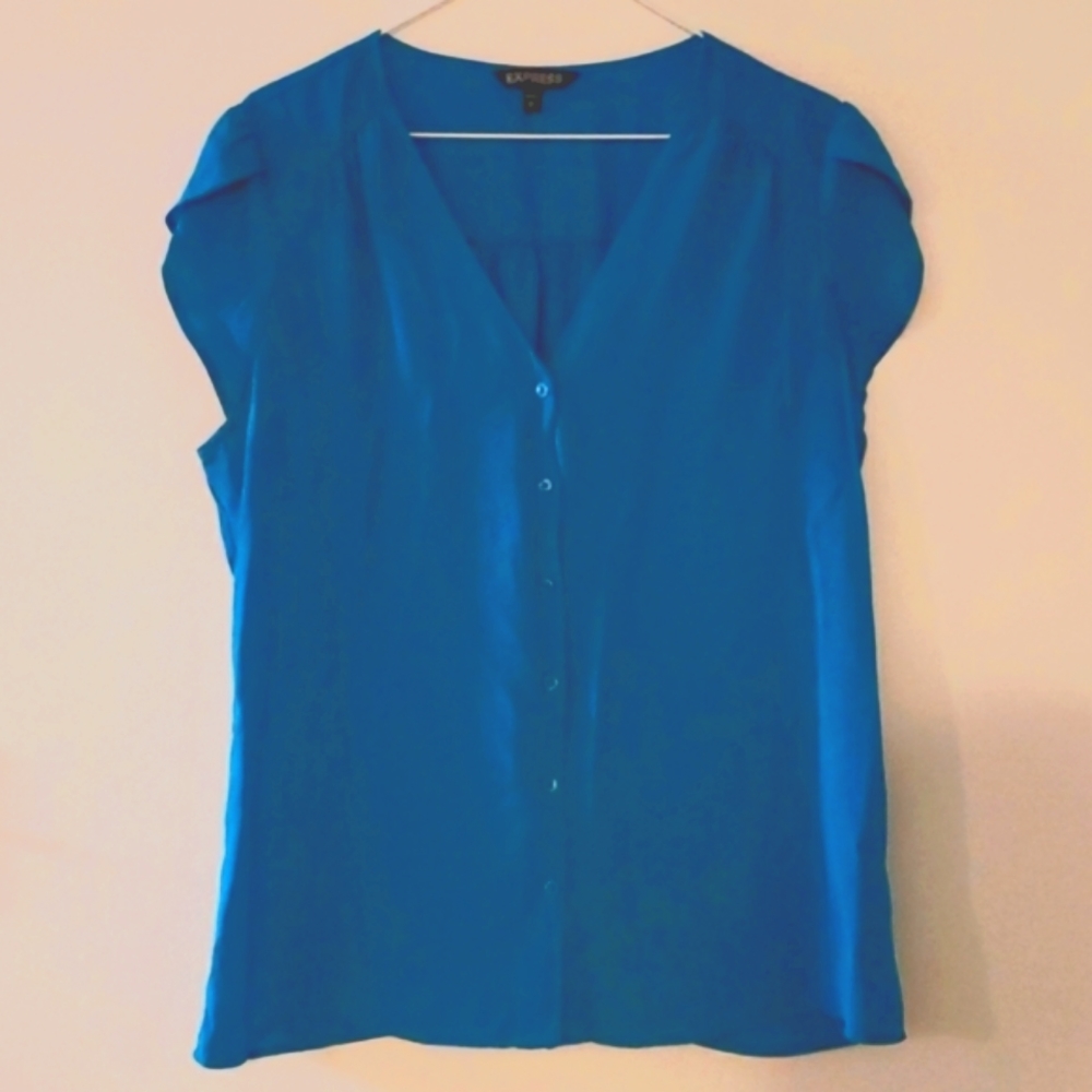 Express Women's Blue Short Sleeve Button Down Blouse Size L
